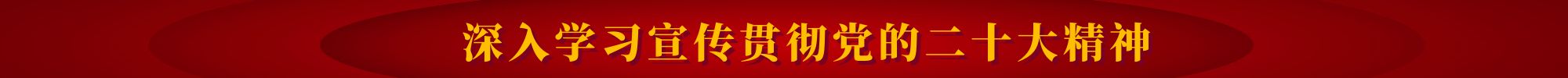 深入學(xué)習(xí)宣傳貫徹黨的二十大精神
